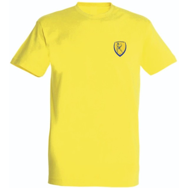 PANETOLIKOS FC ΕΠΕΤΕΙΑΚΟ T-SHIRT UNISEX ΚΙΤΡΙΝΟ