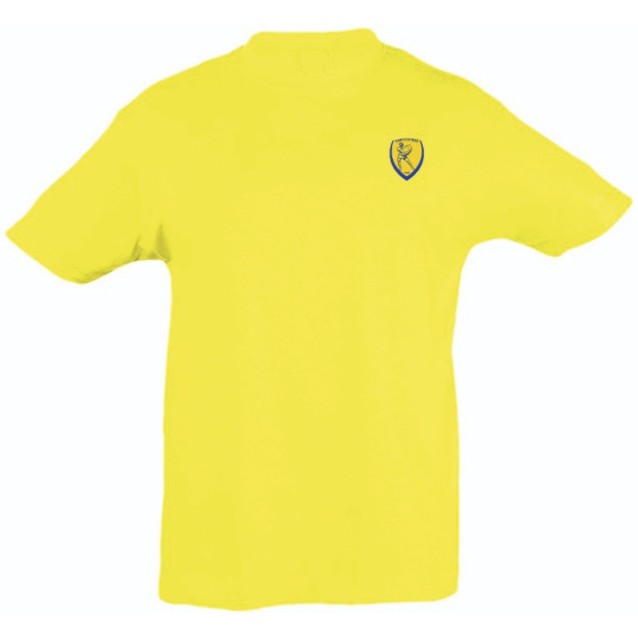 PANETOLIKOS FC ΕΠΕΤΕΙΑΚΟ ΠΑΙΔΙΚΟ T-SHIRT ΚΙΤΡΙΝΟ